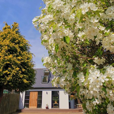 Hastings Casita, 'Little House' Self Contained Garden Lodge, Close To Town And Seafront Eksteriør bilde