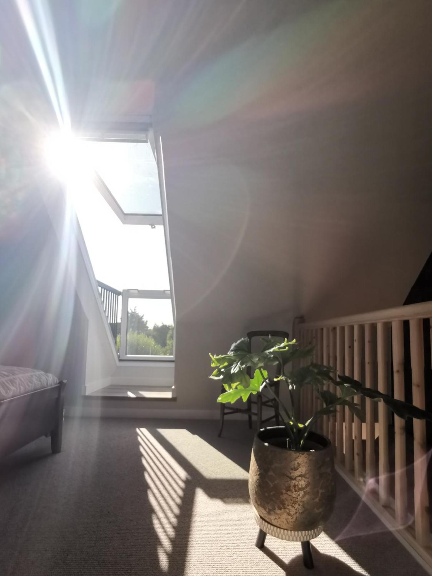 Hastings Casita, 'Little House' Self Contained Garden Lodge, Close To Town And Seafront Eksteriør bilde